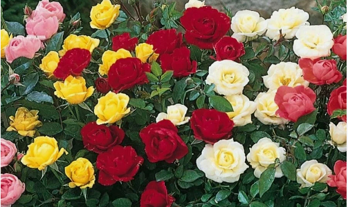 Занятия в Воскресной школе Занятия в Воскресной школе