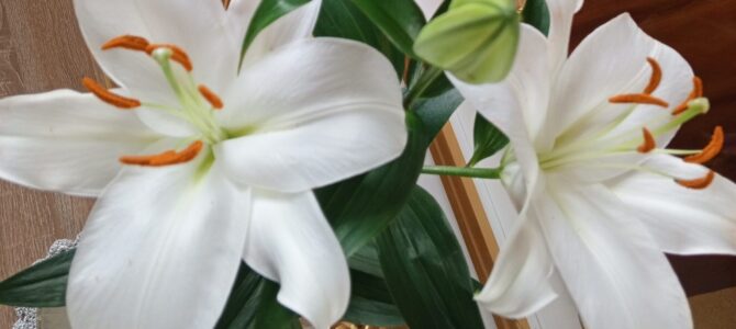 Праздник БЛАГОВЕЩЕНИЯ ПРЕСВЯТОЙ БОГОРОДИЦЫ Праздник БЛАГОВЕЩЕНИЯ ПРЕСВЯТОЙ БОГОРОДИЦЫ