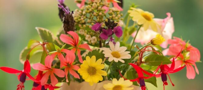 ОБЪЯВЛЕНИЕ