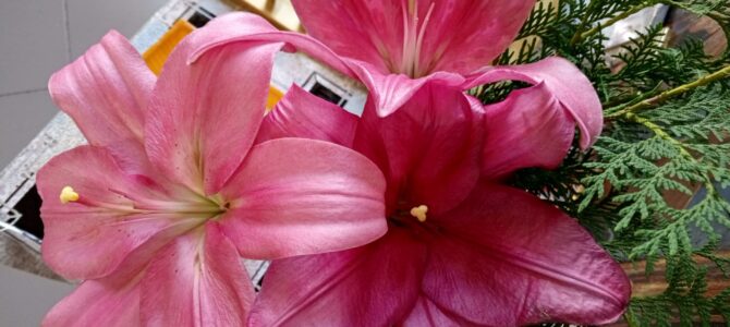 24 июля день памяти святой равноапостольной княгини Ольги